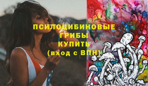 мяу мяу мука Беломорск