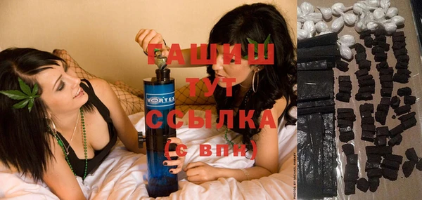 мдпв Богородск