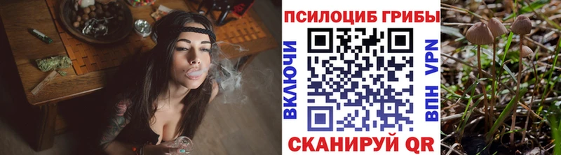 мега сайт  Павловск  Псилоцибиновые грибы Magic Shrooms 