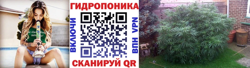 Каннабис Bruce Banner  дарнет шоп  Павловск 